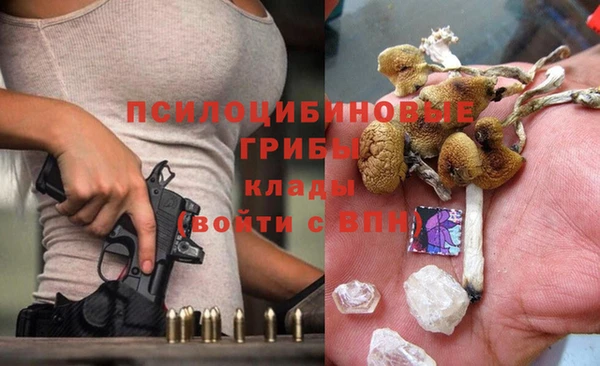 ешки Балахна