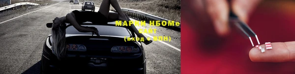 твердый Аркадак