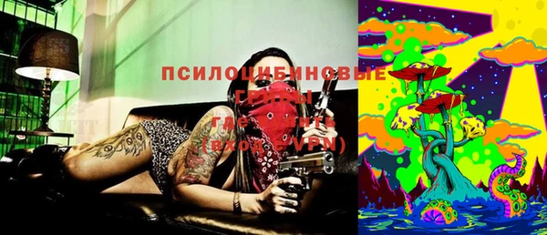 твердый Аркадак