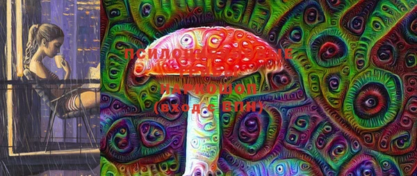 твердый Аркадак